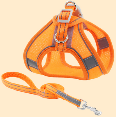 Chaleco de Tracción para Perros Pequeños - Image 9