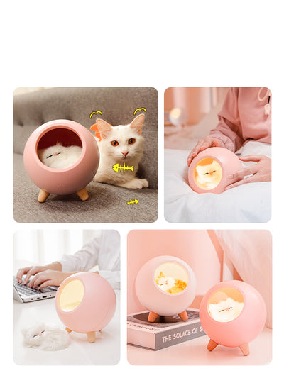 Pink spherical sleeping light with a sleeping cat design, wooden legs, and soft glow, displayed with gift packaging. - Image 3