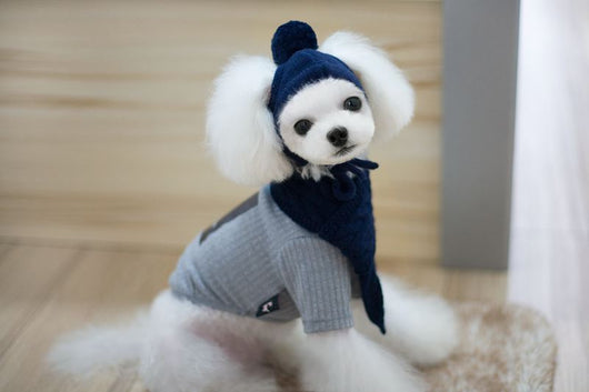 Conjunto de Abrigo para Perro: Gorro, Babero y Bufanda de Lana para Otoño e Invierno - Image 4