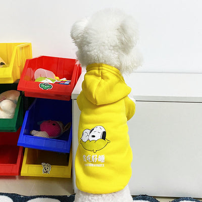 Ropa de Abrigo para Perros - Diseños Adorables Otoño e Invierno - Image 19