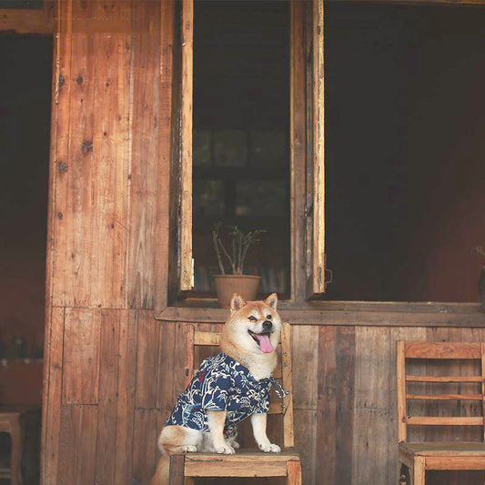 Kimono Tradicional Japonés para Shiba Inu - Image 2