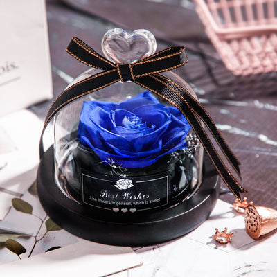 Rosas Eternas con LED en Vidrio - Flores Secas para Decoración y Regalos - Image 8