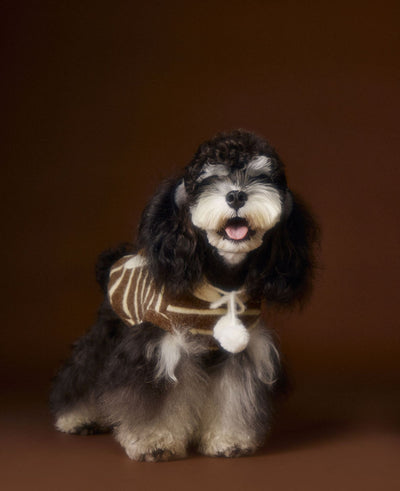 Suéter Acogedor de Galleta Felt para Mascotas - Otoño e Invierno - Image 23