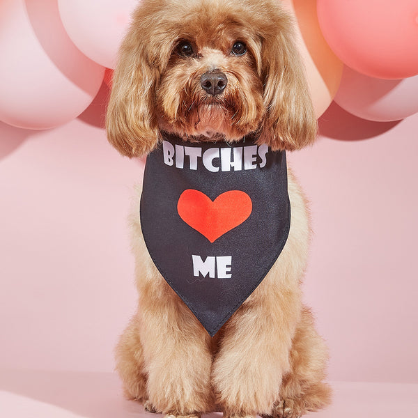 Pañuelo Bandana para Perros con Estampado Personalizado - Image 6
