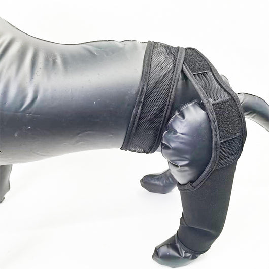 Protector de Fractura para Patas Delanteras y Traseras en Perros - Image 7