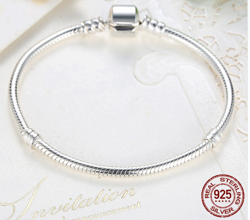 Pulsera de Plata 925 con Dijes Intercambiables - Joya Auténtica para Mujeres - Image 2