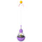 Bulb Tumbler Cat Toy Purple
