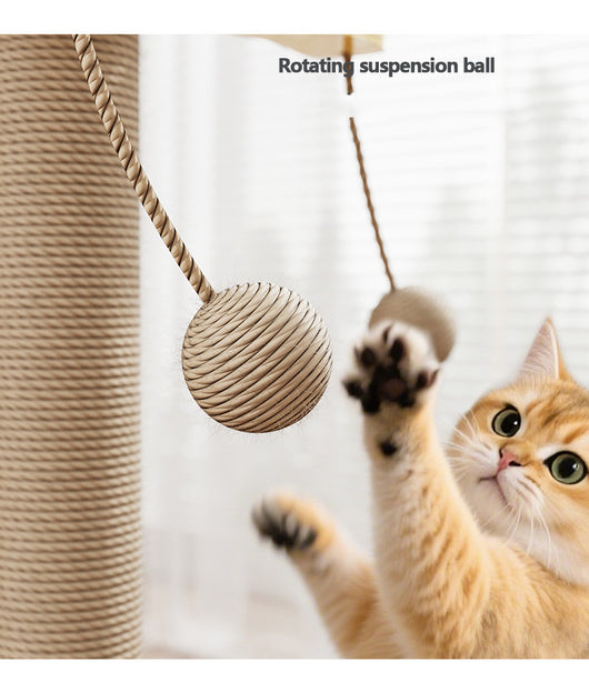 Pelota Colgante Interactiva Resistente para Gatos - Image 4