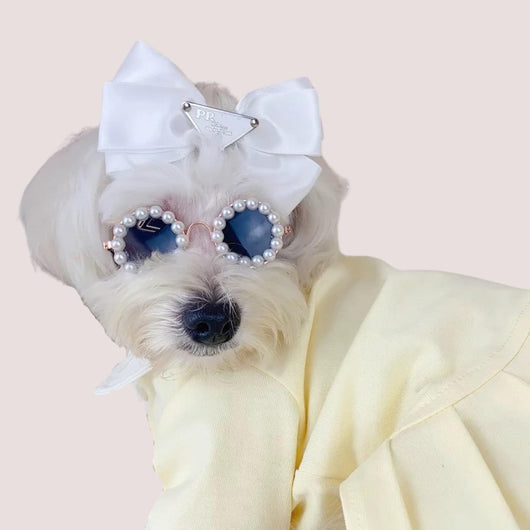 Gafas de Sol Pearl para Mascotas - Accesorios Divertidos y Elegantes para Disfraz de Fiesta - Image 7