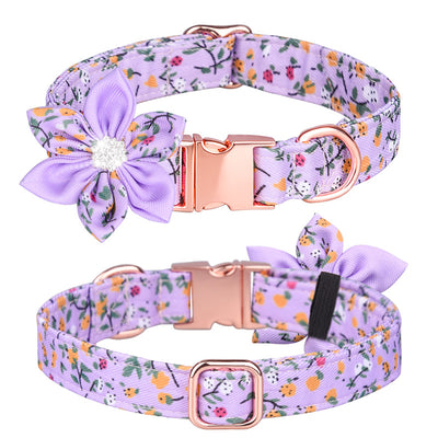 Juego de Collar y Correa Personalizado para Mascotas - Image 32