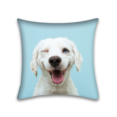 Funda de Almohada para Sofá de Mascota Piel de Durazno Cute Home - Image 28