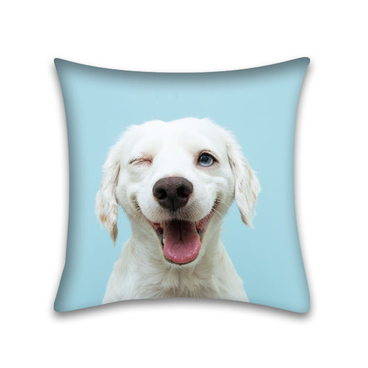 Funda de Almohada para Sofá de Mascota Piel de Durazno Cute Home - Image 28