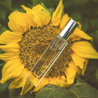 Perfume para Estudiantes - Fragancia Fresca y Duradera - Image 6