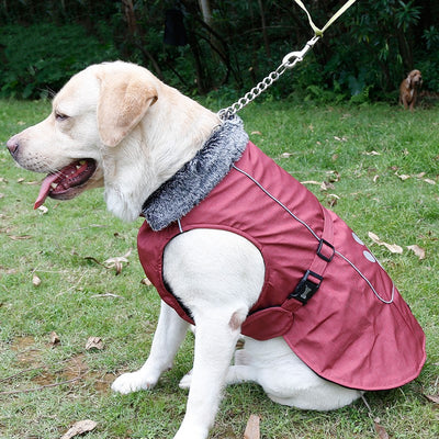 Chaleco Impermeable y Térmico para Perros Grandes - Image 17