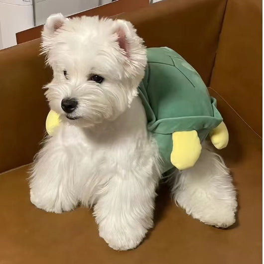 Ropa de Caparazón para Perros - Diseño Viral de Tortuga - Image 3