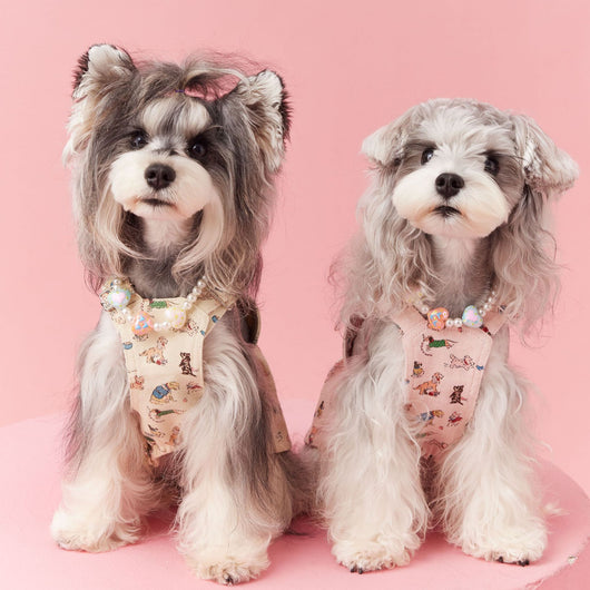 Falda Denim con Tirantes para Perros Pequeños Schnauzer y Maltés - Image 2