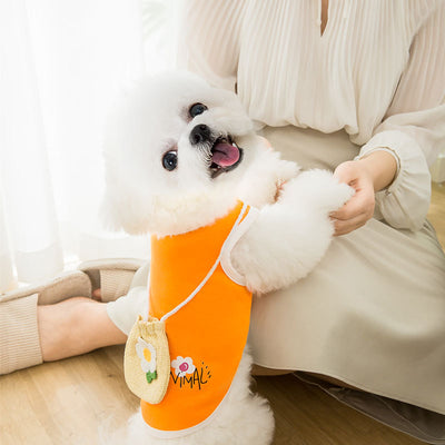 Chaleco Tejido Transpirable para Gatos - Ropa de Verano Cómoda