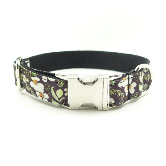 Collar Resistente a Mordidas para Perros - Image 8
