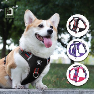 Orange and gray pet harness made of Oxford cloth with reflective trim, a top handle, and adjustable straps. - Image 10