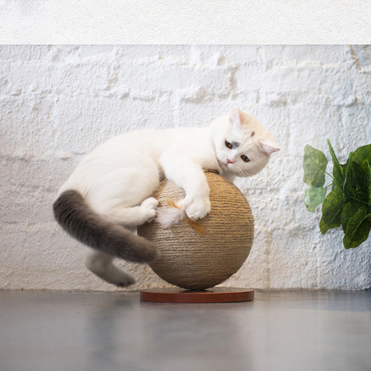 Juguete Interactivo para Gatos - Pelota Capturadora