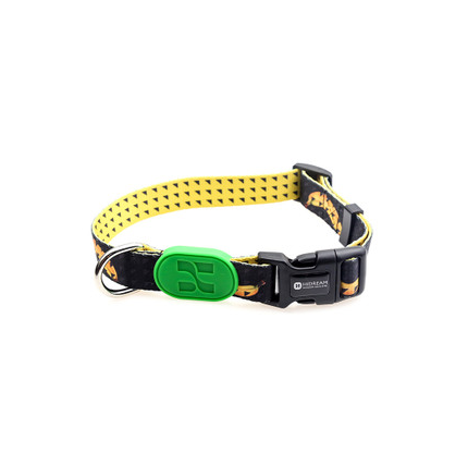 Collar de Perro Colorido