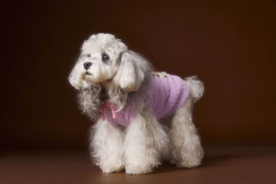 Chaleco Sudadera con Capucha y Estampado de Perrito - Image 16