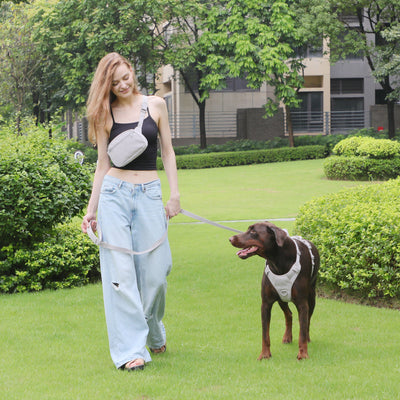 Arnés Gentleman Gris Pizarra en Pana - Collar y Pechera Premium para Mascotas - Image 17