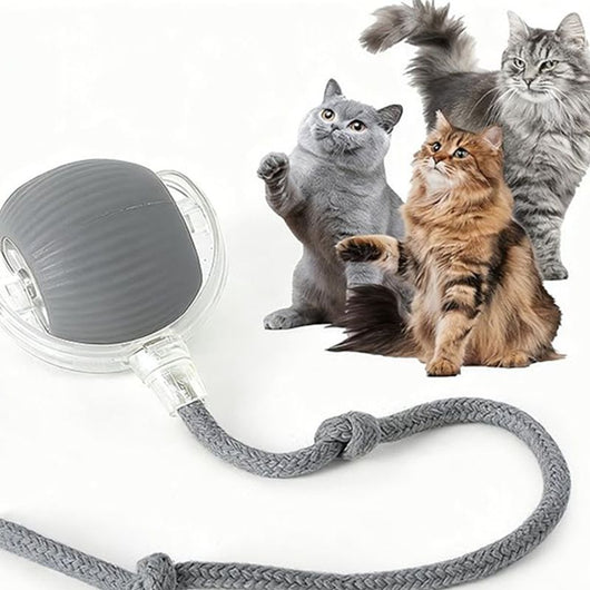 Blue and clear interactive cat ball toy with a rope, shown with three playful cats in the background. - Image 15