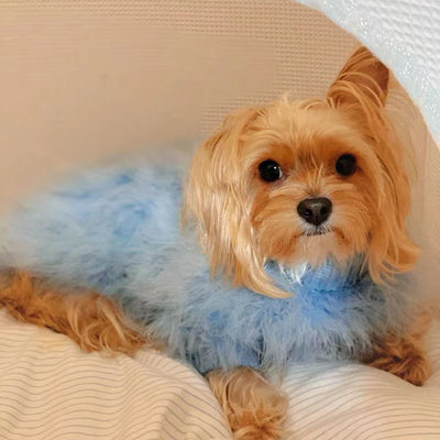 Suéter Cálido para Mascotas Otoño e Invierno - Image 6