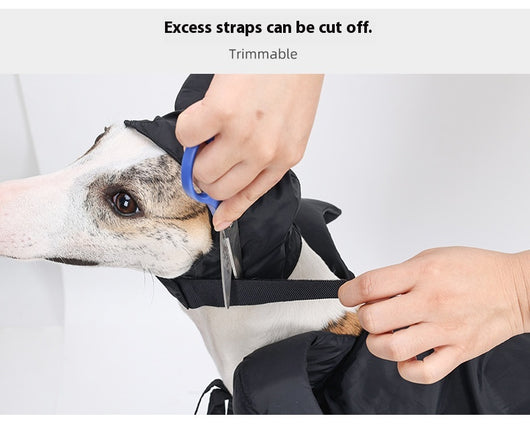 Capa y Sombrero de Halloween para Perros - Disfraz Festivo para Mascotas - Image 12
