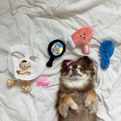 Set de 3 Juguetes para Perros con Limpieza, Soplado y Masaje - Image 6