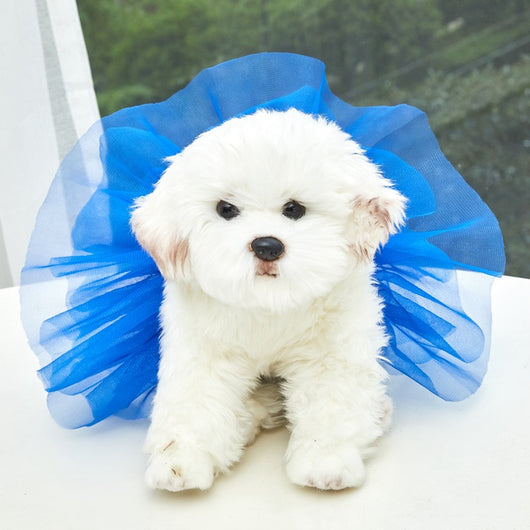 Falda Tutú de Gasa para Mascotas - Diseño Elegante con Hilo de Seda Brillante - Image 13