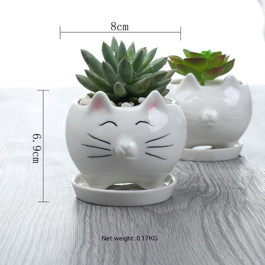 Maceta de Cerámica para Suculentas - Decoración Elegante para Balcón