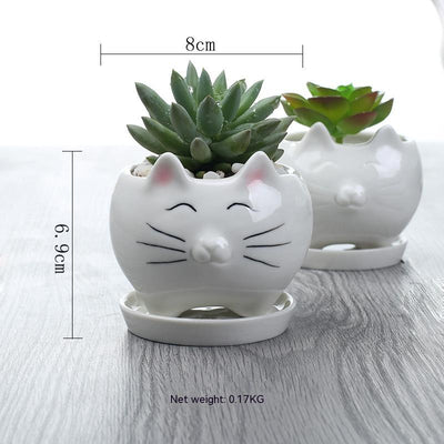 Maceta de Cerámica para Suculentas - Decoración Elegante para Balcón
