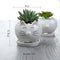 Maceta de Cerámica para Suculentas - Decoración Elegante para Balcón