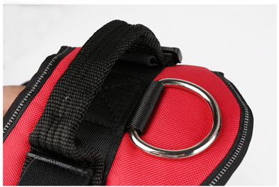 Correa y Cadena para Perro - Accesorios para Mascotas de Calidad Premium - Image 7