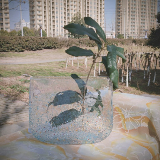 Maceta Colgante Helada con Planta Clorofitum Hidropónica - Image 17
