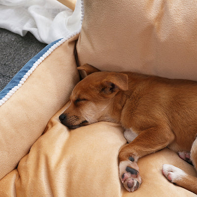 Tapete Absorbente para Gatos y Perros - Lavable y Removible - Image 8