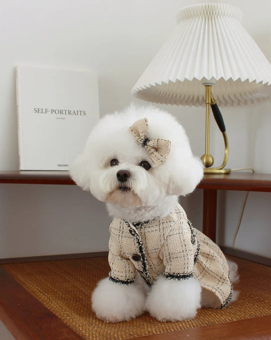 Vestido Princesa para Mascotas - Ropa Elegante para Perros y Gatos - Image 15