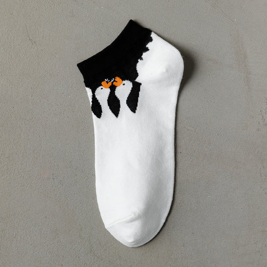 Calcetines de Algodón para Niña - Modelo Bote Bajo Primavera Verano - Image 6
