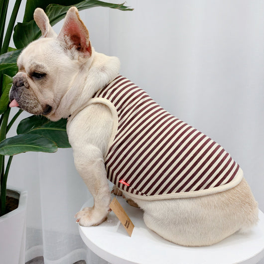 Ropa de Verano Personalizada para Perros - Diseño Fresco y Elegante - Image 3