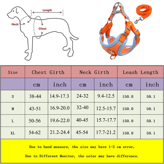 Arnés y Correa para Perro Pequeño - Set Ajustable con Reflectantes - Image 9