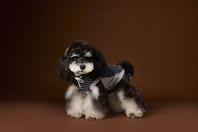 Suéter Tejido sin Mangas para Perros Pequeños Bichón Maltés York - Image 17