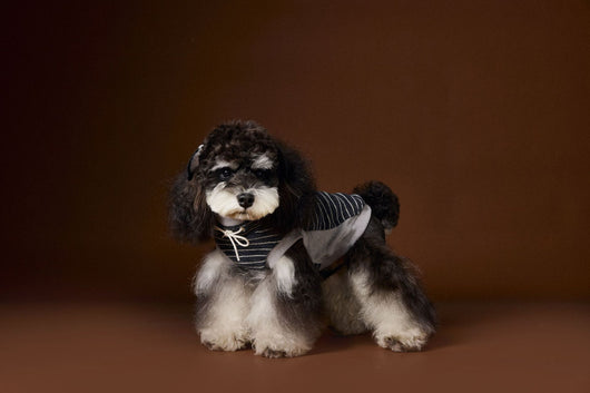 Suéter Tejido sin Mangas para Perros Pequeños Bichón Maltés York - Image 17