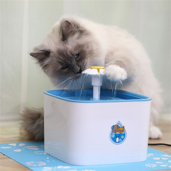 Dispensador Automático de Agua
