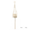 Estilo 34
