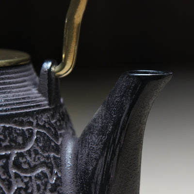 Tetera Portátil de Hierro para Té y Agua Caliente - Image 3