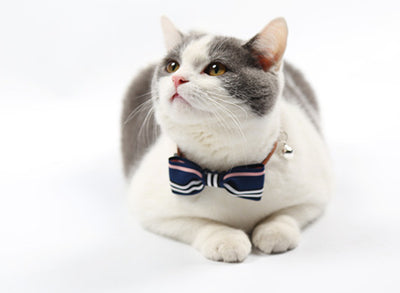 Corbata para Mascotas