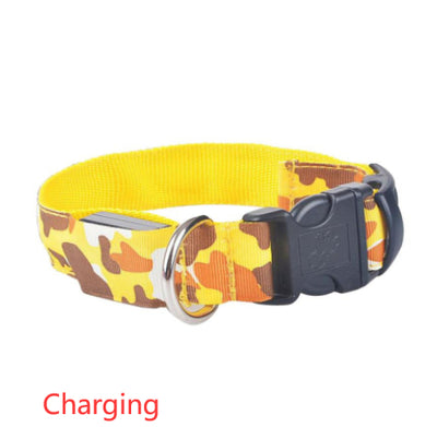 Collar Luminoso Camuflaje para Perros - Seguridad Nocturna - Image 23