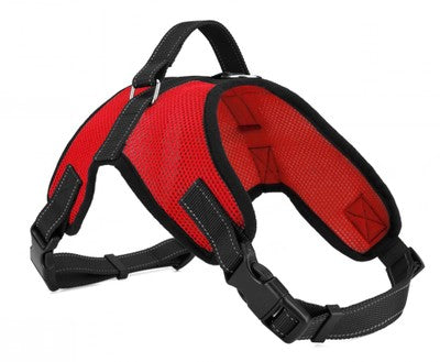 Arnés de Pecho tipo Montura para Perros - Image 9